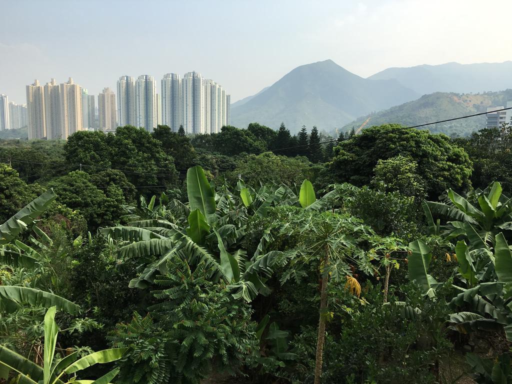 City Oasis Guesthouse Hong Kong Extérieur photo